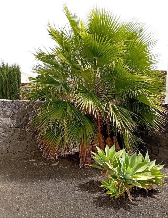 Villa Fortuna Playa Blanca  Exterior foto